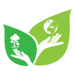 Green Clean