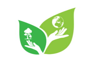 Eco-friendly cleaning service