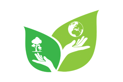 Eco-friendly cleaning service